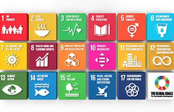 SDGs診断チャート
