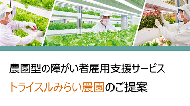 業務切り出し不要の障がい者雇用「トライスルみらい農園」