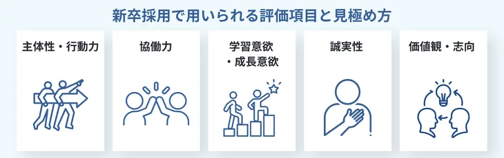 新卒採用で用いられる評価項目と見極め方