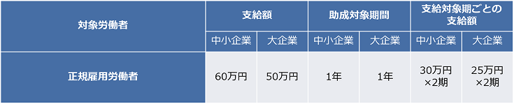 特定求職者雇用開発助成金（就職氷河期世代安定雇用実現コース）　支給額