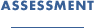 ASESMENT